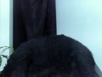 Chaturbate Adult Webcam of shooter_boy_