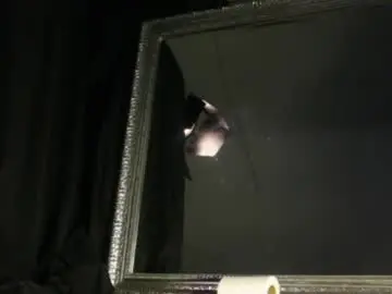 Chaturbate Live Porn of mrbigdiq