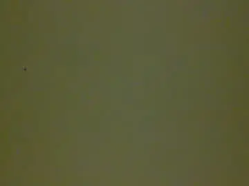 Chaturbate Adult Video Chat of bonershow