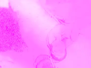 Chaturbate Nude Webcam of chugnbater