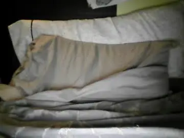 Chaturbate Best live sex cam show of galoricardo10