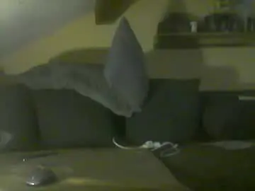 Chaturbate Adult Webcam of verdogan