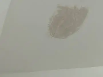 Chaturbate Live Sex of brant_garcia
