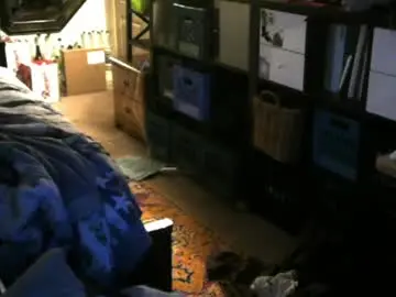Chaturbate Free Porn Cam of jimmystippp