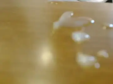 Chaturbate Sex Cam of xxlecheroxx