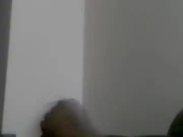 Chaturbate Live Porn of mycockissohard1984