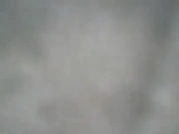 Chaturbate Adult Webcam of kennerfox77