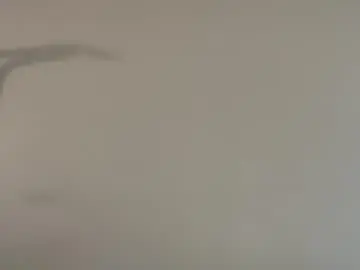 Chaturbate Best Webcam of mountaiden