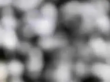 Chaturbate Adult Video Chat of hotshavedoiledcocksocal
