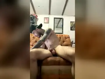 Chaturbate Live Sex Cam of panthers_room