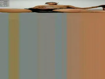Chaturbate Private Sex Chat of tokyo_playboy