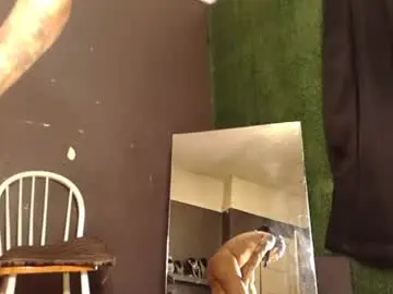 Chaturbate Watch Live Sex Cams of bigpussypump
