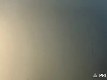 Chaturbate Live Porn of dabeibe