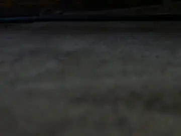 Chaturbate Free Live Porn of ramucam2676