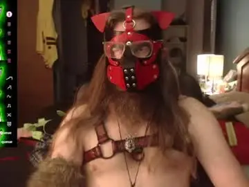 Chaturbate Best Webcam of kinkywolf87