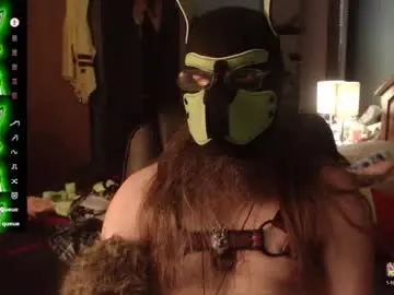 Chaturbate Best Webcam of kinkywolf87