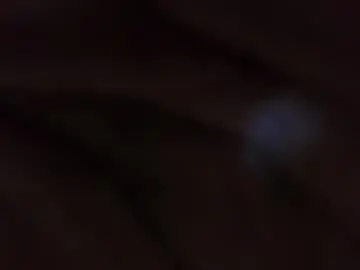 Chaturbate Live Porn of sweet_wallen