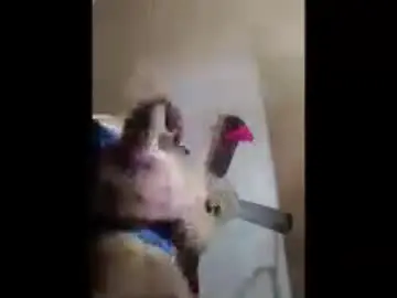 Chaturbate Watch Live Sex Cams of fetishdaddybigd