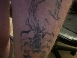 Streamate Free Porn Cam of BarryDeeped