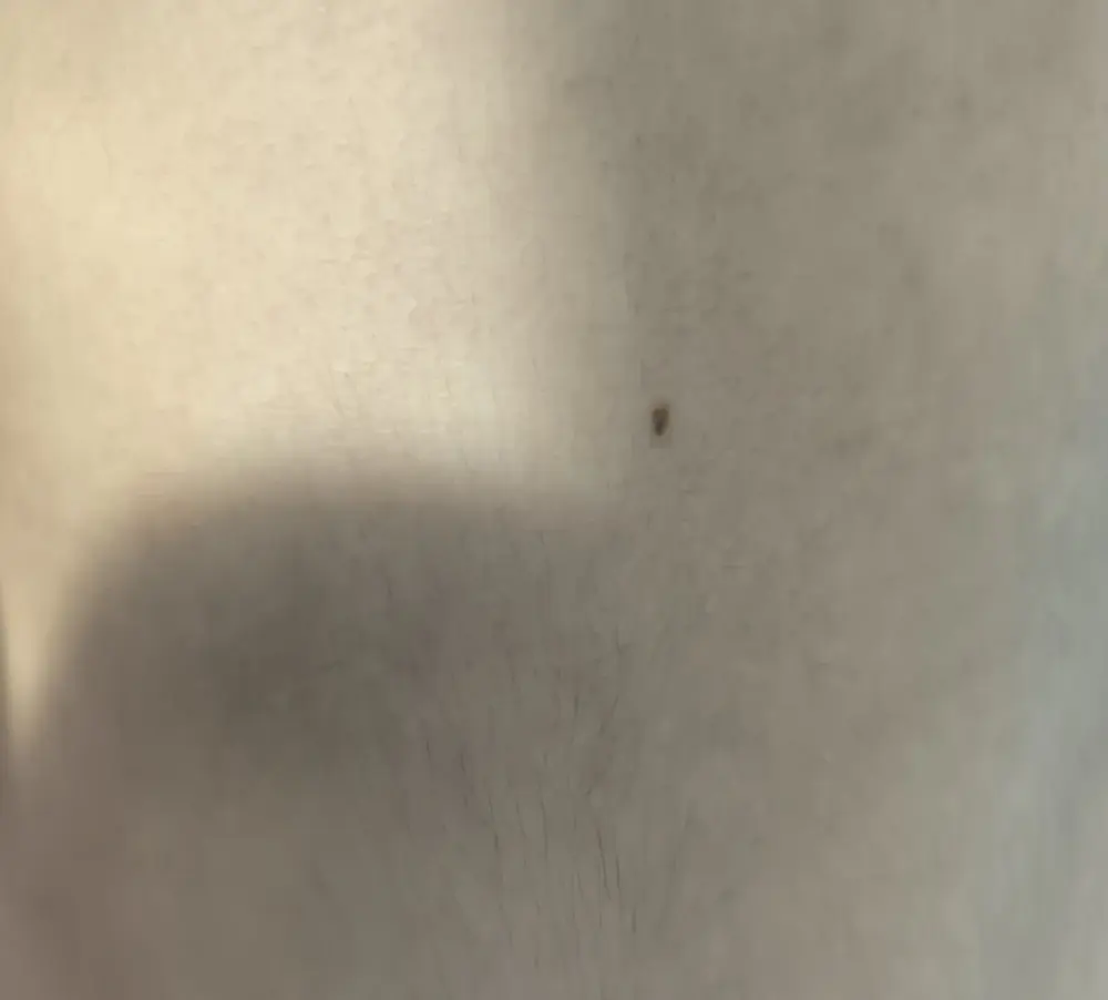 Radsing80