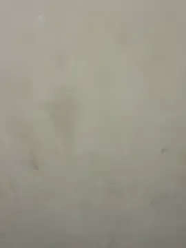 Stripchat Sex Cam of dickmaster8782