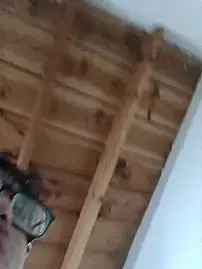 Stripchat Live Porn of Single_lagunero