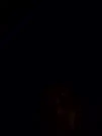 Stripchat Best Webcam of sloppytopkins