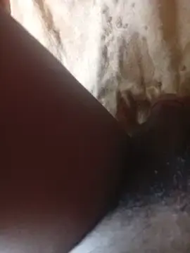Stripchat Live Porn of HUMPAM