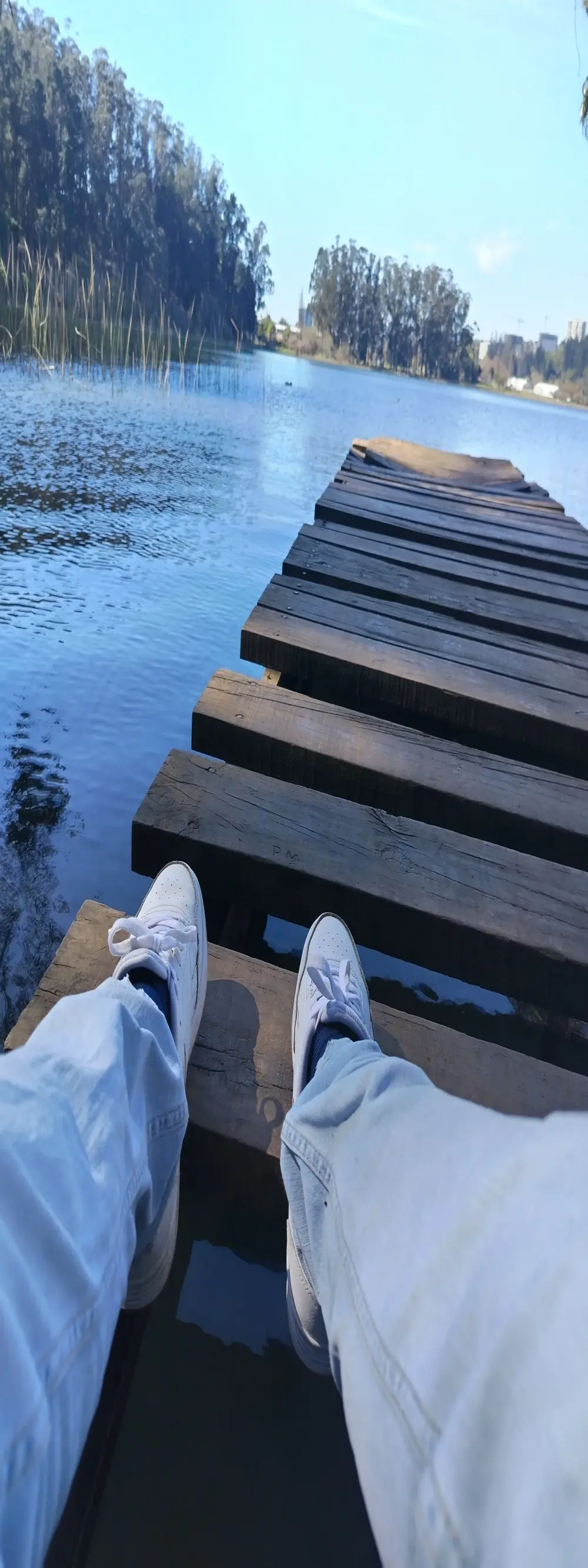 Yayo66