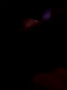Stripchat Adult Webcam of FeloBad