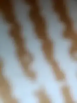 Stripchat Private Sex Chat of hardnhornybull