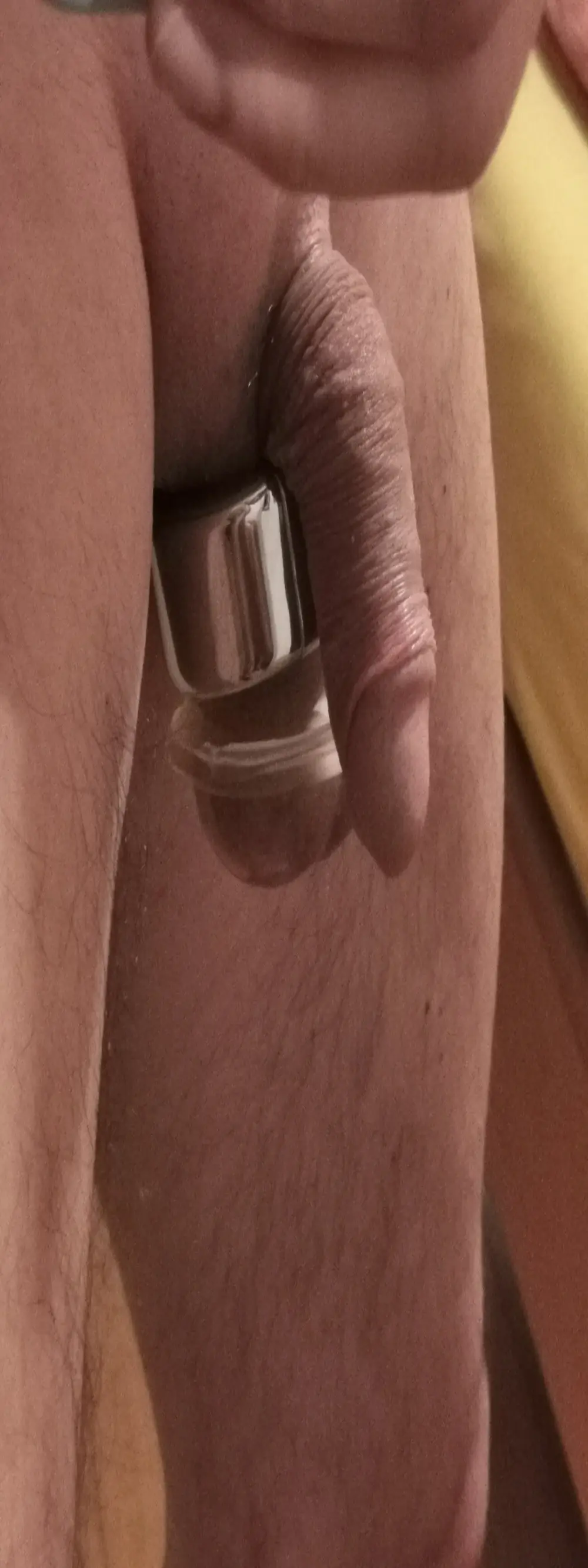 leccaleccafiga