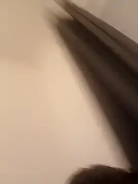 Stripchat Live Porn of elgasmii
