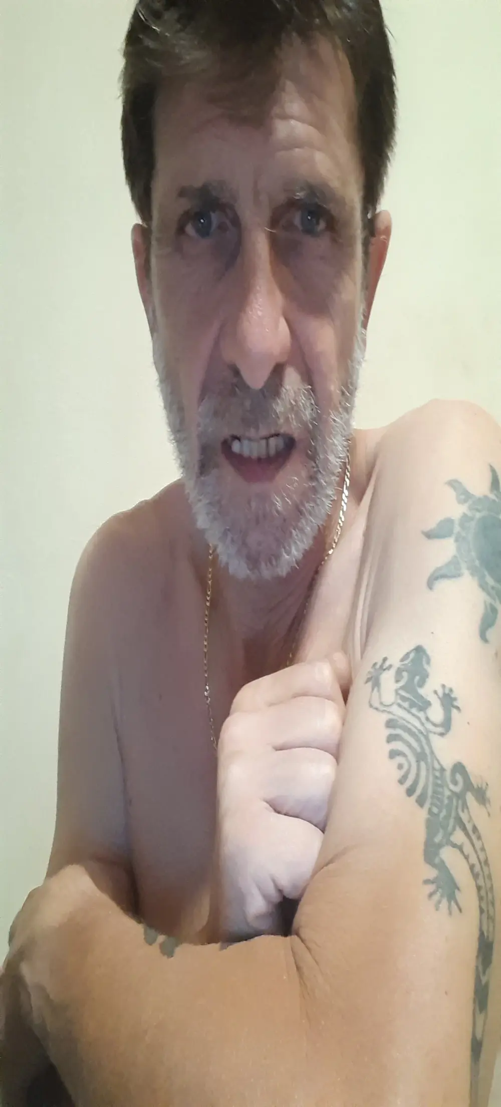 felice66