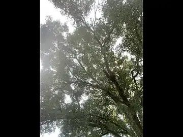 Stripchat Sex Cam of JockNThirsty