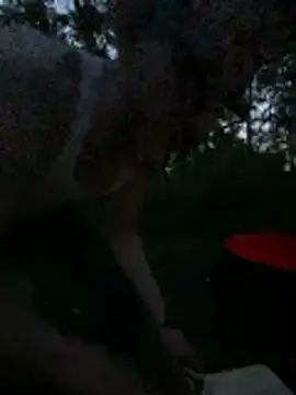 Stripchat Live Sex Cam of teninchty