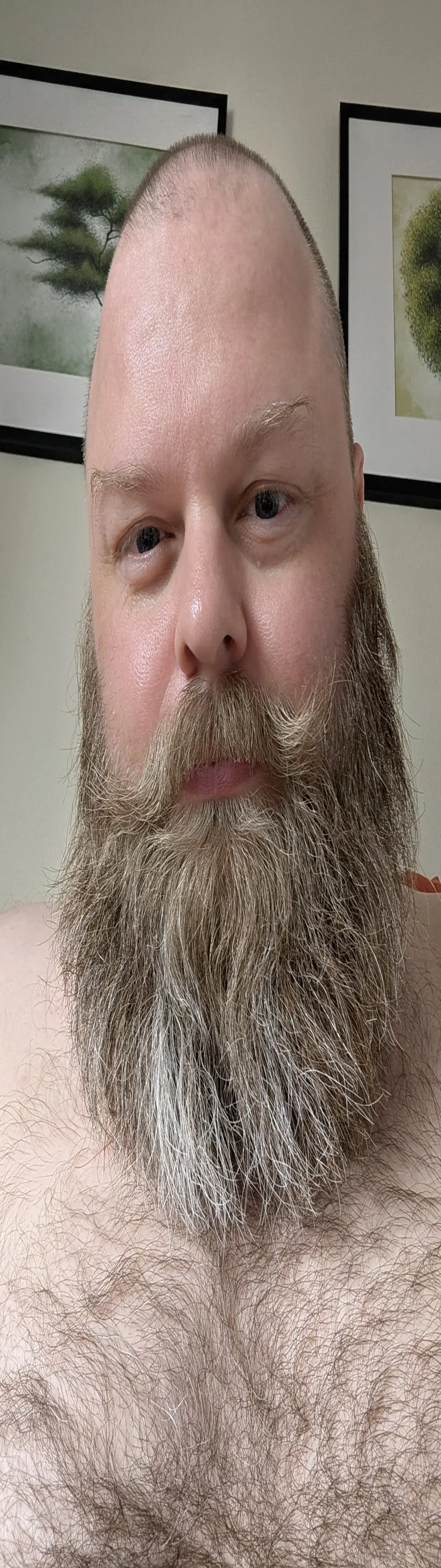 TeddyBearBrian