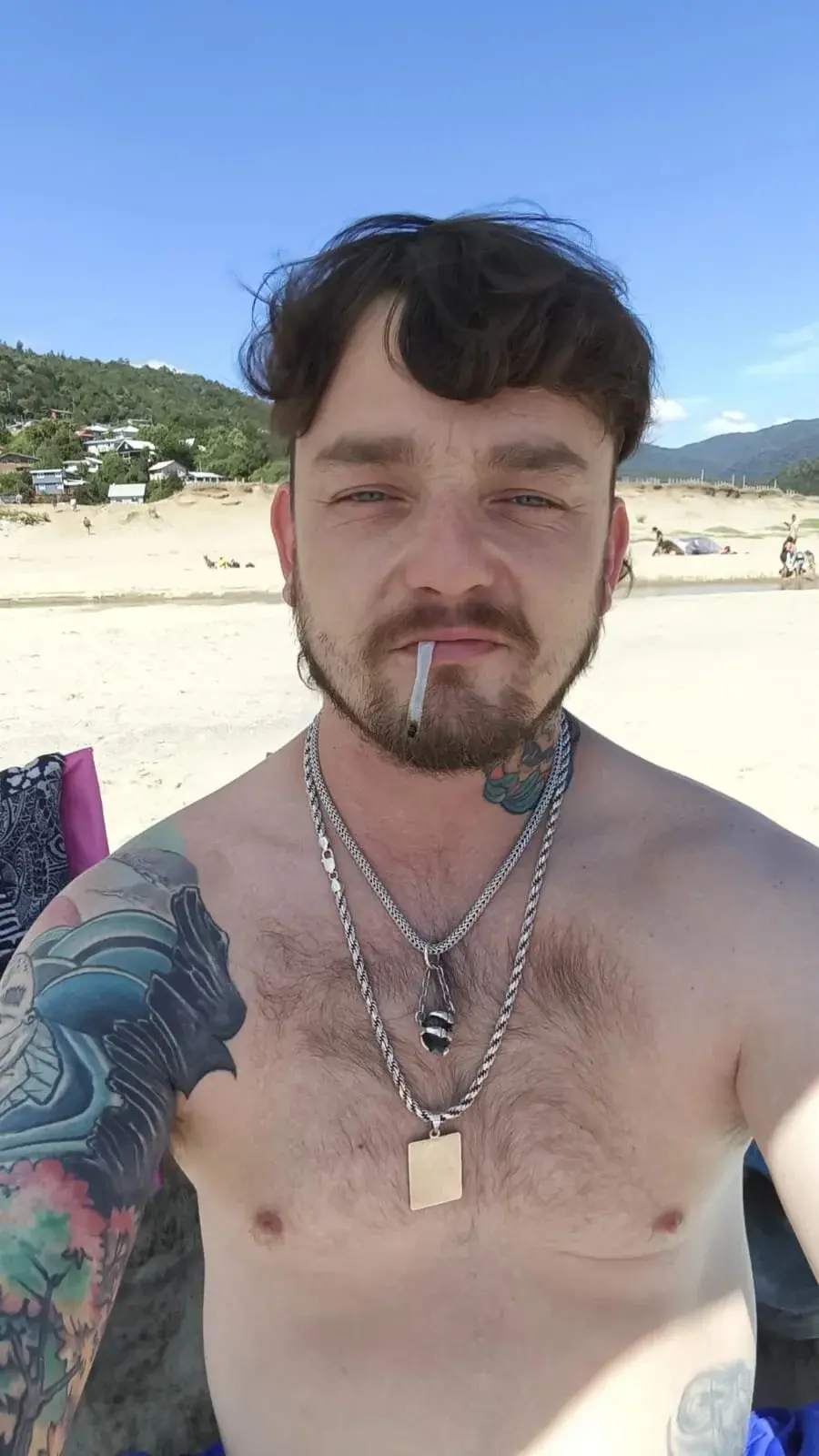 vikingo3333