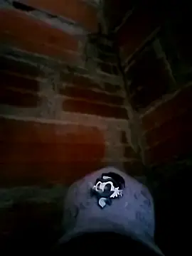 Stripchat Best Webcam of styu2001