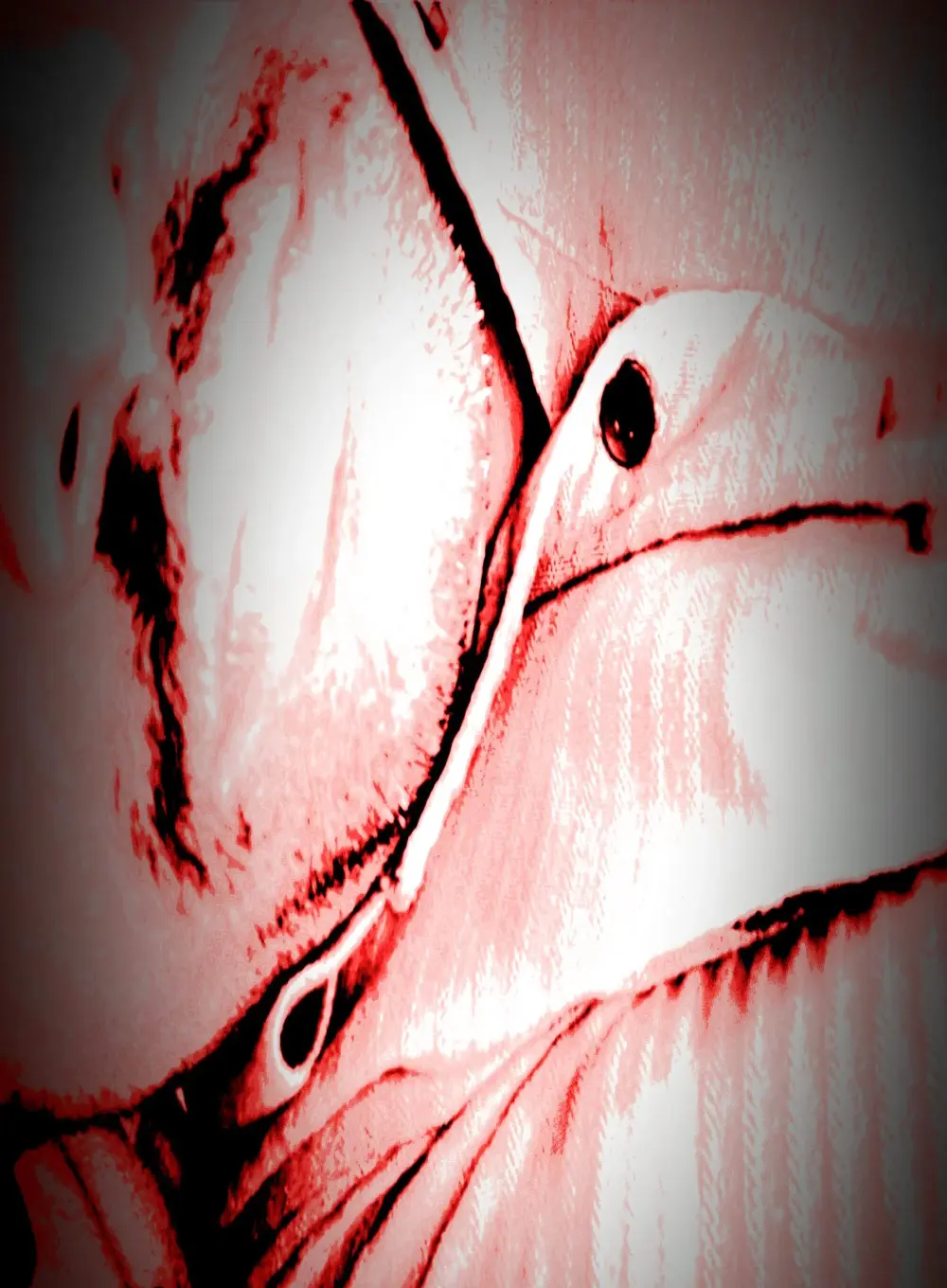 up_boy