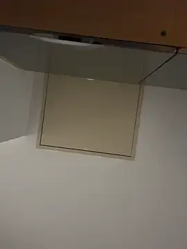Stripchat Adult Webcam of Z1uk